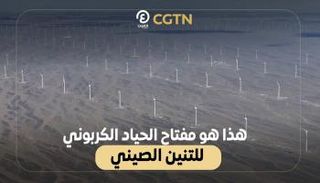 هذا هو مفتاح الحياد الكربوني للتنين الصيني