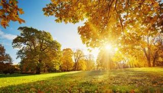 درجات الحرارة تبدأ في الانكسار