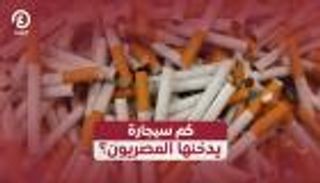 كم سيجارة يدخنها المصريون؟