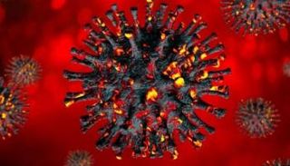 فيروس كورونا