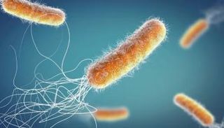 الجراثيم الخارقة