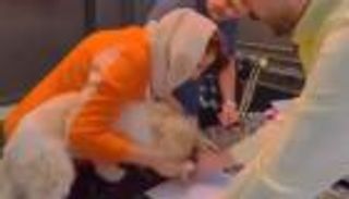 "المالك حيوان".. ضجة في إيران بسبب بيع شقة لـ"كلب"