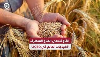 الفاو تتحدى المناخ المتطرف