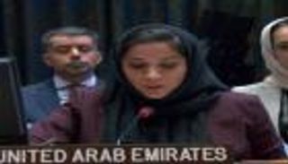 الإمارات بمجلس الأمن.. روشتة لحل قضية فلسطين وتحذيرات لإسرائيل