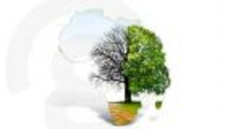 قمة المناخ الأفريقية الأولى.. استثمارات ضخمة تلوح في الأفق