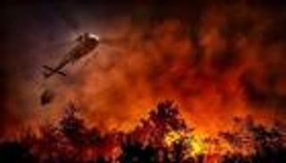 إحصائية: المغرب فقد 55 ألف هكتار من غاباته منذ 2001