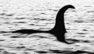 حملة بحث كبيرة للعثور على "وحش البحيرة".. مسيّرات ومسح حراري