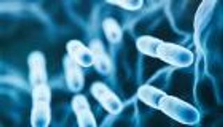 بعدوى "الفيلقية".. بولندا تكشف سر وفاة 12 شخصا 