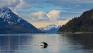 ألغاز البحر.. ما سر هذه الأصوات تحت الماء؟