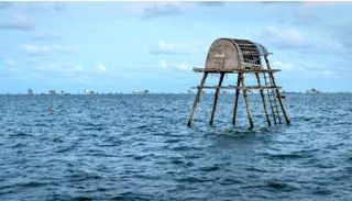 كيف تعزز الخطط الساحلية التكيف مع تغير المناخ؟