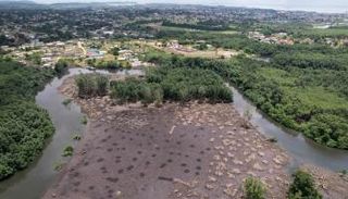 مشهد لأشجار المنغروف في ليبرفيل