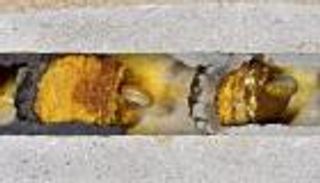 داخل "شرانق متحجرة".. اكتشاف نحل يعود لـ3000 عام