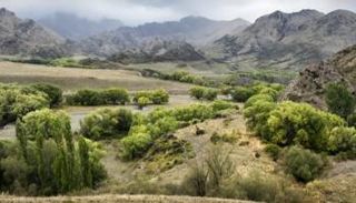 مزرعة مول سورث في نيوزيلندا