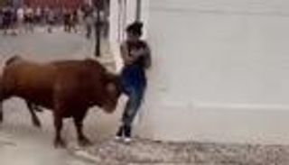 انشغلت في الهاتف فعاشت "فيلم رعب" مع ثور هائج (فيديو)