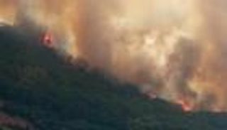 القبض على 6 أشخاص لتورطهم في إشعال "غابات تونس"