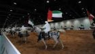 عروض خاصة وفرق موسيقية.. احتفاء استثنائي بمعرض أبوظبي للصيد والفروسية