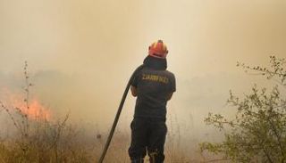 حريق منطقة "إيفروس" في اليونان 