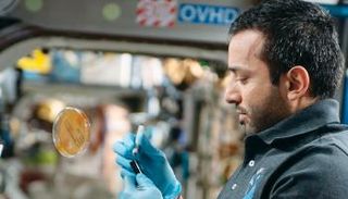 رائد الفضاء سلطان النيادي