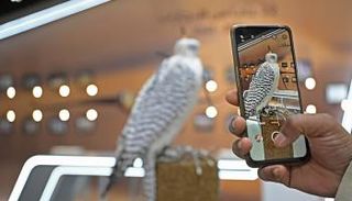 معرض أبوظبي الدولي للصيد 2023