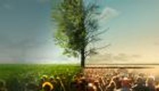 سنوات الخوف.. وفيات محتملة بفعل تغير المناخ في أمريكا