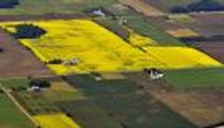 البلاستيك يتسلل إلى الأراضي الزراعية.. مخاطر بالأفق