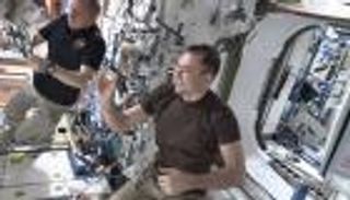 الحياة في محطة الفضاء الدولية مع النيادي.. ضحك ولعب وعلم وحب