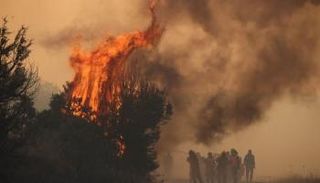 حرائق الغابات في اليونان