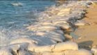 تفاصيل أول منصة بيانات عالمية ترصد استخراج الرمال من البيئة البحرية