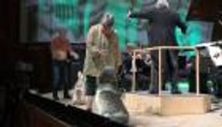 3 كلاب في مهمة لا يخوضها سوى البشر