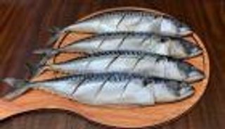 مادة زرقاء مضيئة في الأسماك تثير قلقاً في مصر