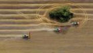 دبلوماسية القمح.. روسيا ترسم خرائط جديدة لغذاء العالم