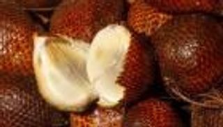 فاكهة الثعبان تغزو مصر.. الكيلو بـ 900 جنيه فماذا عن فوائدها؟