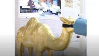 جهاز تنفس صناعي للإبل