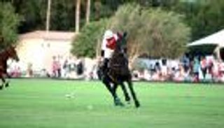 رياضة الملوك في "أبوظبي للصيد والفروسية"