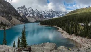 التنوع البيولوجي