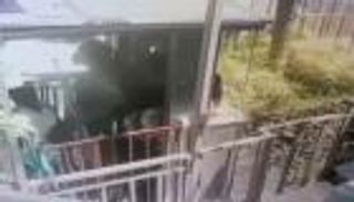 فيديو يوثّق لحظة مرعبة لمصرع 5 سقط بهم المصعد