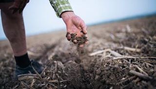 شكوك حول فاعلية أداة تخزين الكربون في التربة