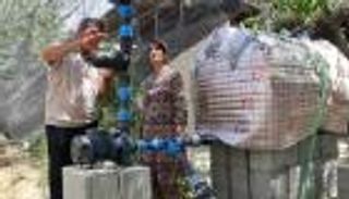 حكاية أودينا.. قصة نجاح ملهمة بطلها الطماطم