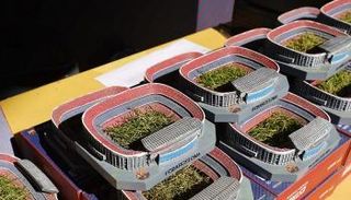 عشب ملعب كامب نو