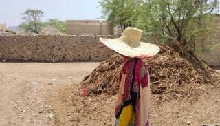 كوفية الخيزران