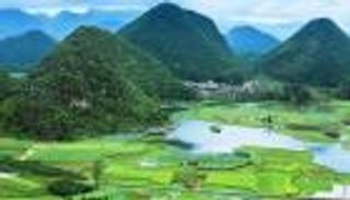  استراتيجية البقاء.. هذا هو الجندي المجهول في معركة تغير المناخ