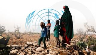 صرخة وجع.. 24 مليون شخص إلى حافة الجوع