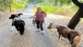 من رقصة بوتين لرحلة الحصانين.. وزيرة نمساوية سابقة تثير الجدل