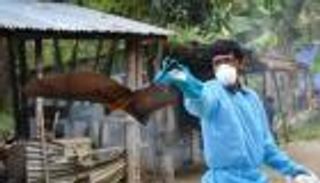 وباء بلا لقاح.. فيروس نيباه يعود بوجه مفترس