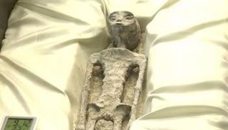 هيكل أحد الكائنات الغريبة