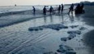 بعد اللون الأخضر.. كتل بيضاء تظهر على شاطئ مدينة مصرية