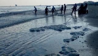 كتل بيضاء على الشاطئ