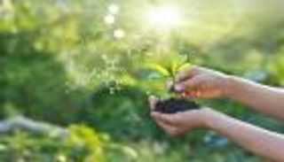 النباتات والتبغ.. درس في المفاهيم الخاطئة