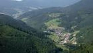 التغير المناخي يضرب أشجار الغابة السوداء