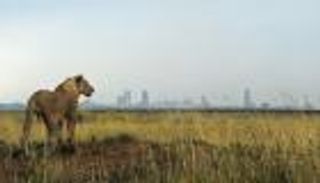 علماء يحذرون من "مصير الديناصورات".. البشرية تبدأ انقراضاً جماعياً